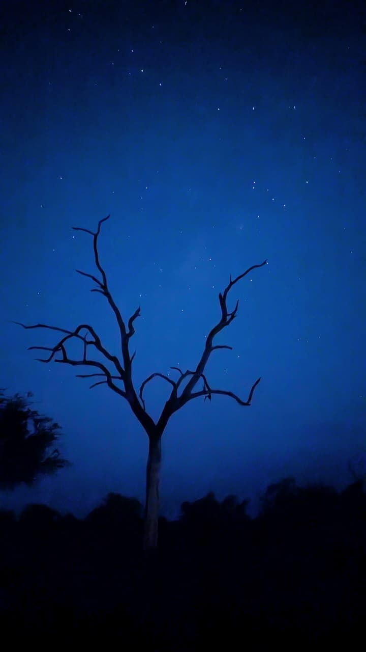 Kruger National Park Safari — photo 1